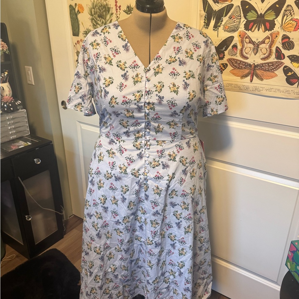 Ivy City Co "Allie dress" in blue floral